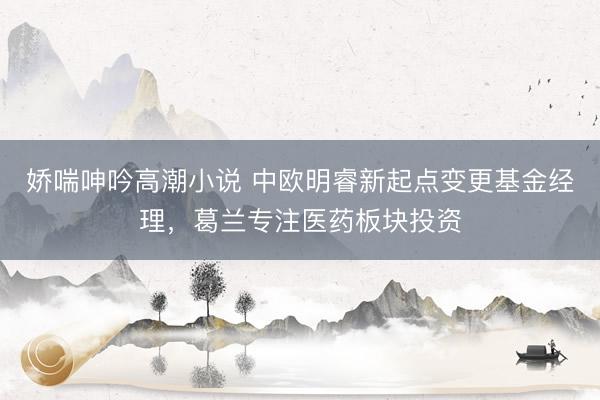 娇喘呻吟高潮小说 中欧明睿新起点变更基金经理，葛兰专注医药板块投资