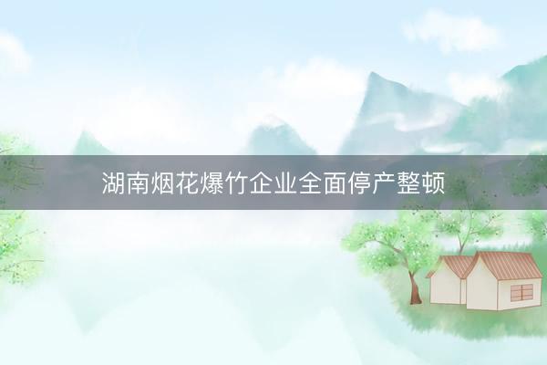 湖南烟花爆竹企业全面停产整顿