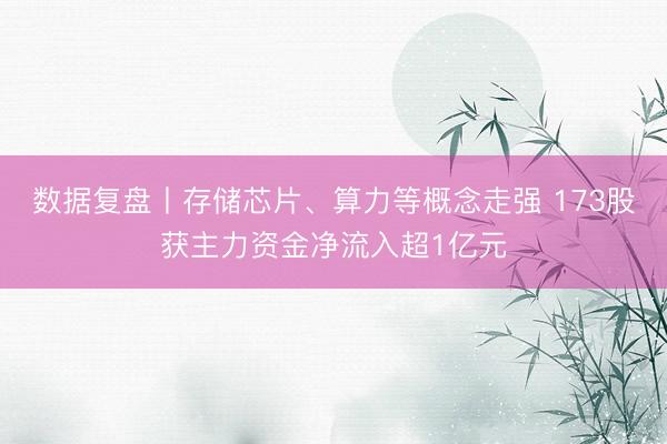 数据复盘丨存储芯片、算力等概念走强 173股获主力资金净流入超1亿元