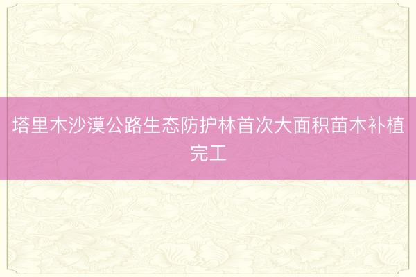 塔里木沙漠公路生态防护林首次大面积苗木补植完工