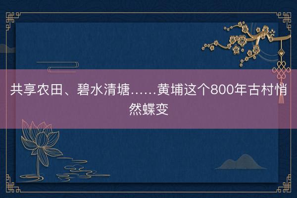 共享农田、碧水清塘……黄埔这个800年古村悄然蝶变