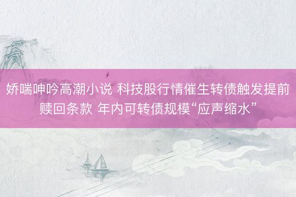 娇喘呻吟高潮小说 科技股行情催生转债触发提前赎回条款 年内可转债规模“应声缩水”