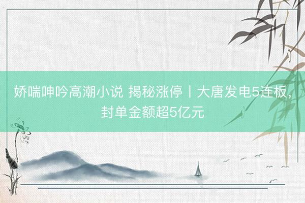 娇喘呻吟高潮小说 揭秘涨停丨大唐发电5连板，封单金额超5亿元