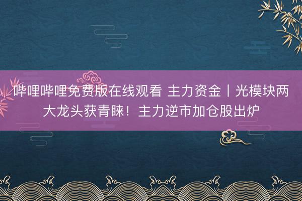 哔哩哔哩免费版在线观看 主力资金丨光模块两大龙头获青睐！主力逆市加仓股出炉