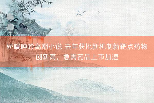娇喘呻吟高潮小说 去年获批新机制新靶点药物创新高，急需药品上市加速