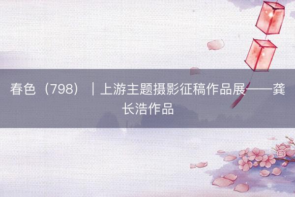 春色（798）｜上游主题摄影征稿作品展——龚长浩作品