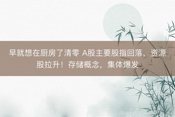 早就想在厨房了清零 A股主要股指回落，资源股拉升！存储概念，集体爆发