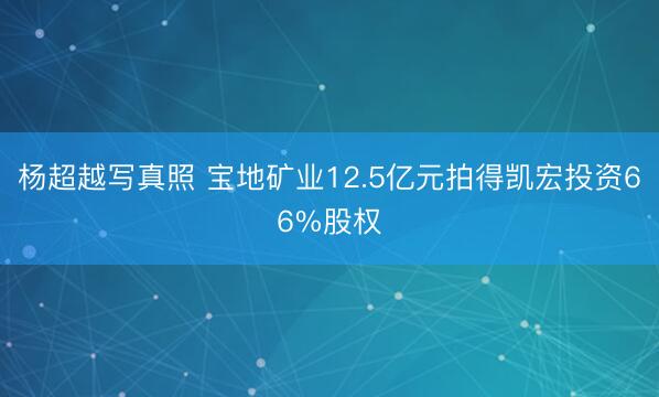 杨超越写真照 宝地矿业12.5亿元拍得凯宏投资66%股权