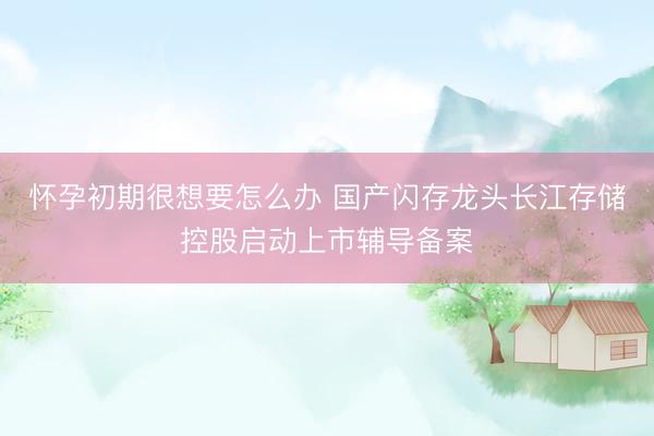 怀孕初期很想要怎么办 国产闪存龙头长江存储控股启动上市辅导备案