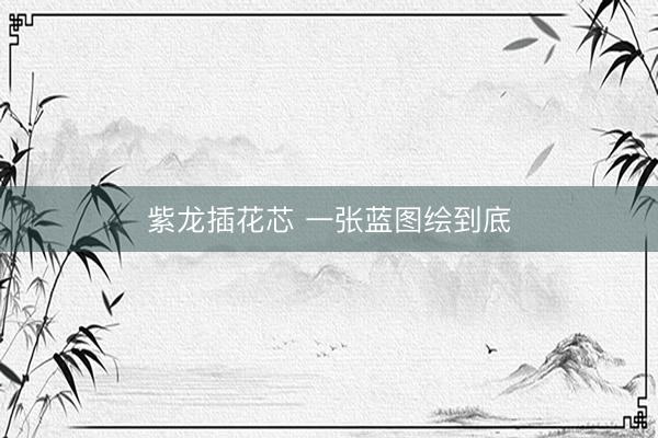 紫龙插花芯 一张蓝图绘到底