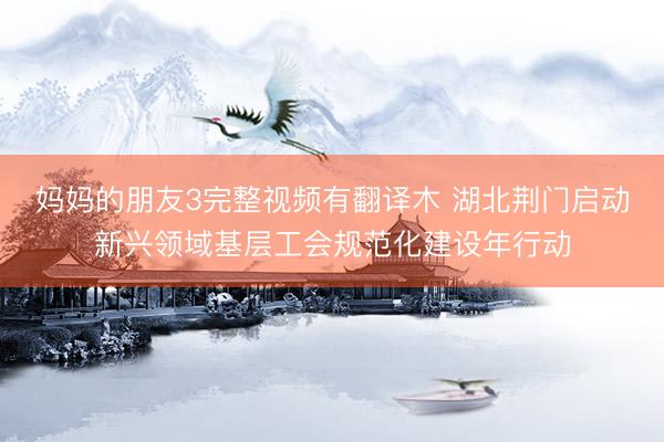 妈妈的朋友3完整视频有翻译木 湖北荆门启动新兴领域基层工会规范化建设年行动