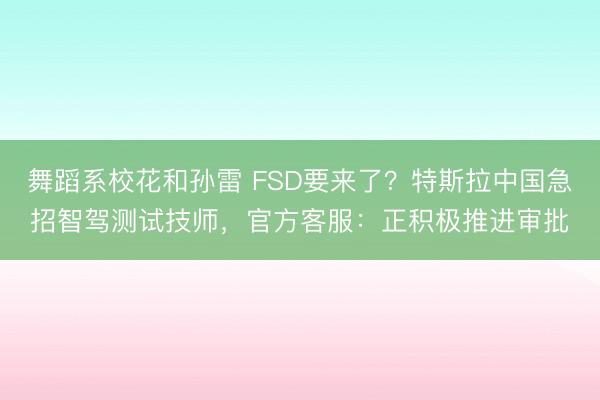 舞蹈系校花和孙雷 FSD要来了？特斯拉中国急招智驾测试技师，官方客服：正积极推进审批