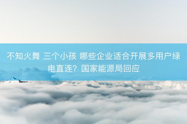 不知火舞 三个小孩 哪些企业适合开展多用户绿电直连？国家能源局回应