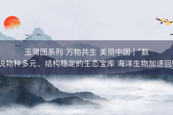 玉蒲团系列 万物共生&amp;#32;美丽中国&amp;#32;|&amp;#32;“数”说物种多元、结构稳定的生态宝库&amp;#32;海洋生物加速回归