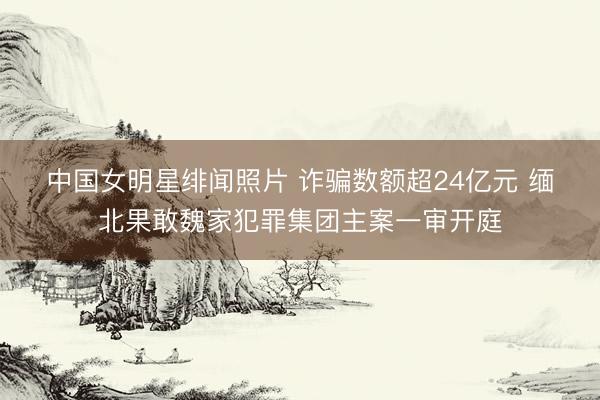 中国女明星绯闻照片 诈骗数额超24亿元&amp;#32;缅北果敢魏家犯罪集团主案一审开庭