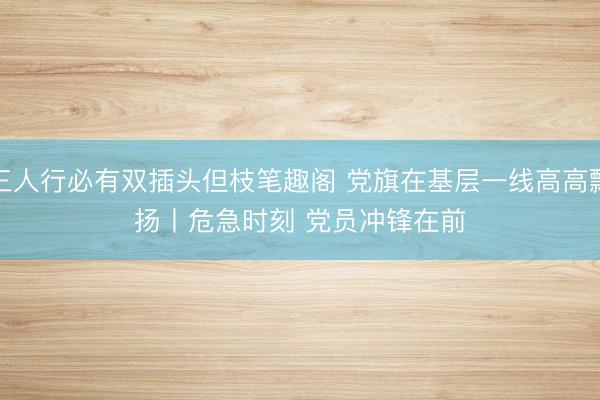 三人行必有双插头但枝笔趣阁 党旗在基层一线高高飘扬丨危急时刻&amp;#32;党员冲锋在前