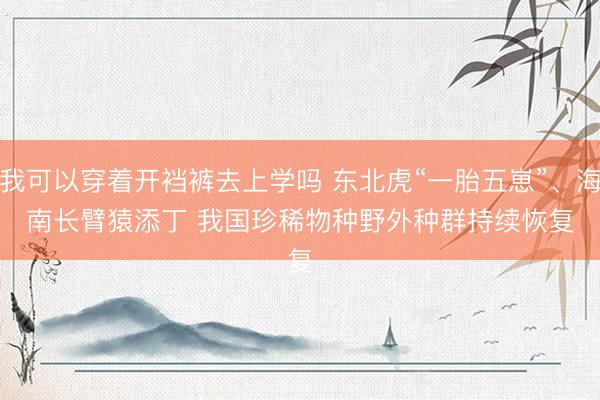我可以穿着开裆裤去上学吗 东北虎“一胎五崽”、海南长臂猿添丁&amp;#32;我国珍稀物种野外种群持续恢复