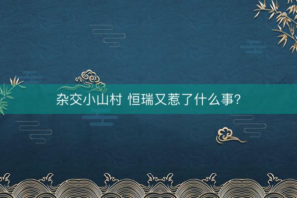 杂交小山村 恒瑞又惹了什么事？