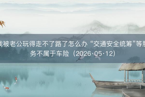 我被老公玩得走不了路了怎么办 “交通安全统筹”等服务不属于车险（2026·05·12）