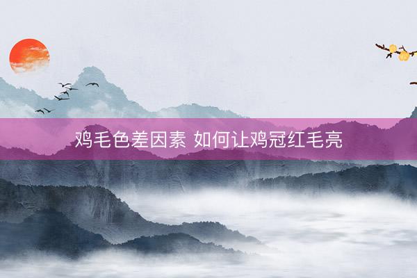 鸡毛色差因素 如何让鸡冠红毛亮