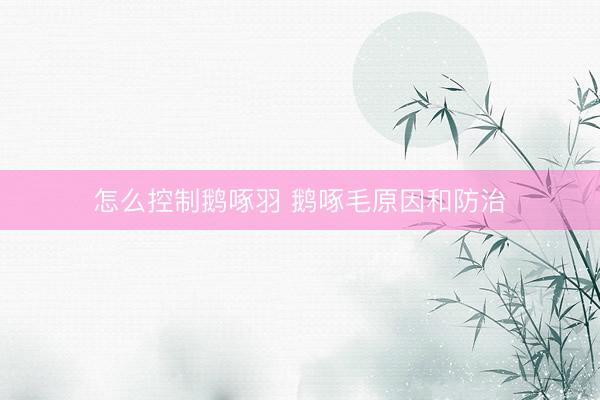 怎么控制鹅啄羽 鹅啄毛原因和防治