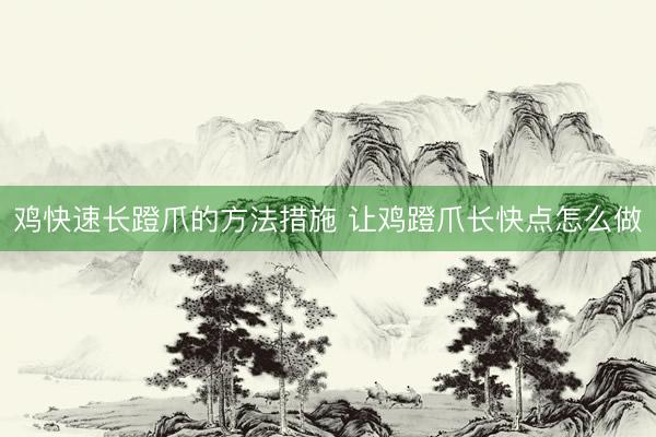 鸡快速长蹬爪的方法措施 让鸡蹬爪长快点怎么做