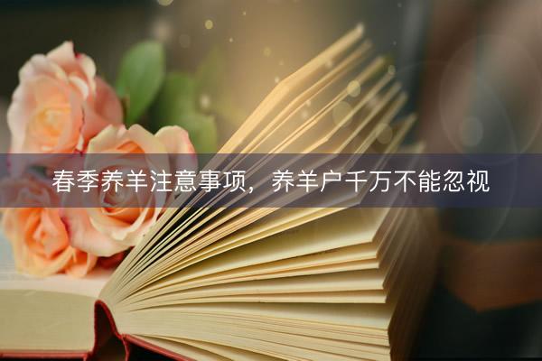 春季养羊注意事项，养羊户千万不能忽视