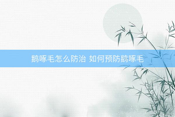 鹅啄毛怎么防治 如何预防鹅啄毛