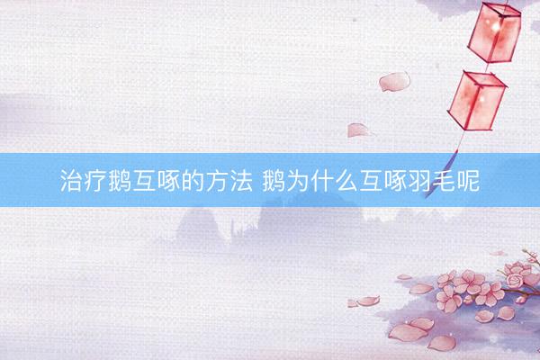 治疗鹅互啄的方法 鹅为什么互啄羽毛呢