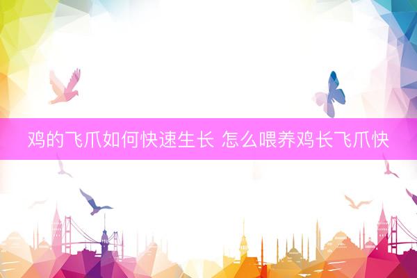 鸡的飞爪如何快速生长 怎么喂养鸡长飞爪快
