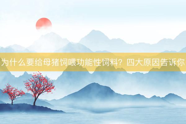 为什么要给母猪饲喂功能性饲料？四大原因告诉你