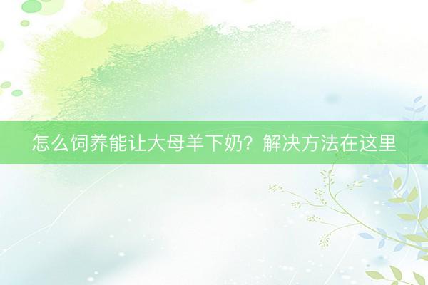怎么饲养能让大母羊下奶？解决方法在这里