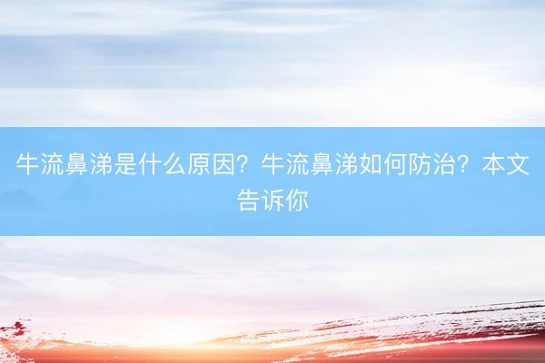 牛流鼻涕是什么原因？牛流鼻涕如何防治？本文告诉你