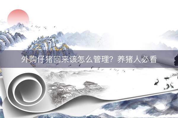外购仔猪回来该怎么管理？养猪人必看