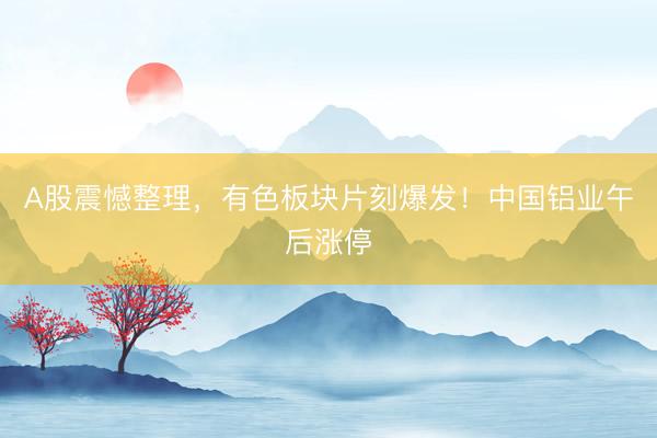 A股震憾整理，有色板块片刻爆发！中国铝业午后涨停