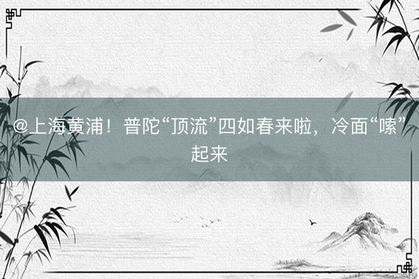 @上海黄浦！普陀“顶流”四如春来啦，冷面“嗦”起来