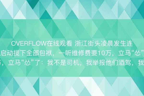 OVERFLOW在线观看 浙江街头凌晨发生连环撞车事故，一须眉刚启动揽下全部包袱，一听维修费要10万，立马“怂”了：我不是司机，我举报他们酒驾，我是来顶包的