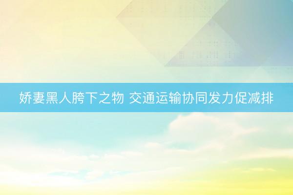 娇妻黑人胯下之物 交通运输协同发力促减排