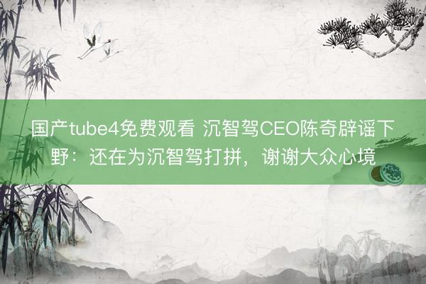 国产tube4免费观看 沉智驾CEO陈奇辟谣下野：还在为沉智驾打拼，谢谢大众心境