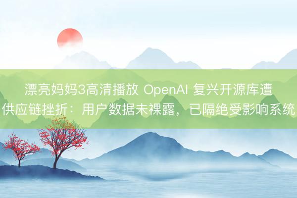 漂亮妈妈3高清播放 OpenAI 复兴开源库遭供应链挫折：用户数据未裸露，已隔绝受影响系统