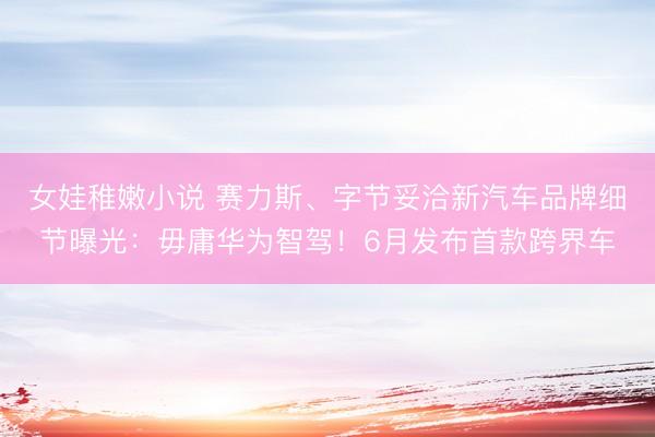 女娃稚嫩小说 赛力斯、字节妥洽新汽车品牌细节曝光：毋庸华为智驾！6月发布首款跨界车