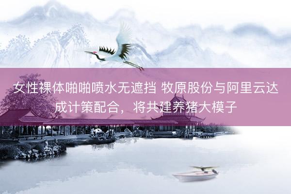 女性裸体啪啪喷水无遮挡 牧原股份与阿里云达成计策配合，将共建养猪大模子