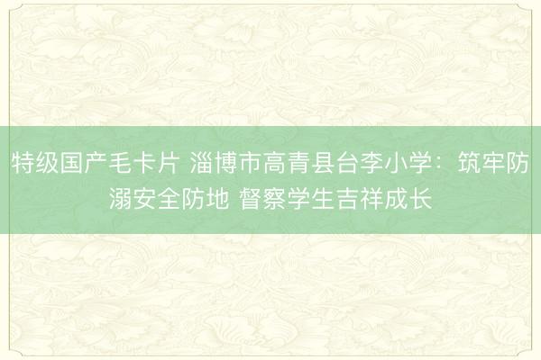特级国产毛卡片 淄博市高青县台李小学：筑牢防溺安全防地 督察学生吉祥成长