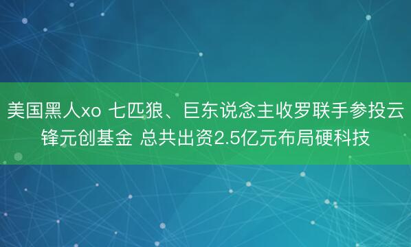 美国黑人xo 七匹狼、巨东说念主收罗联手参投云锋元创基金 总共出资2.5亿元布局硬科技