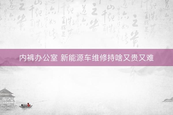 内裤办公室 新能源车维修持啥又贵又难