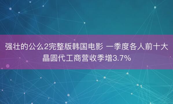 强壮的公么2完整版韩国电影 一季度各人前十大晶圆代工商营收季增3.7%