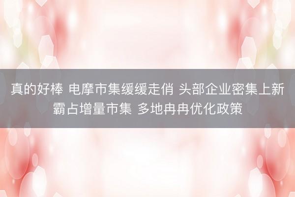 真的好棒 电摩市集缓缓走俏 头部企业密集上新霸占增量市集 多地冉冉优化政策
