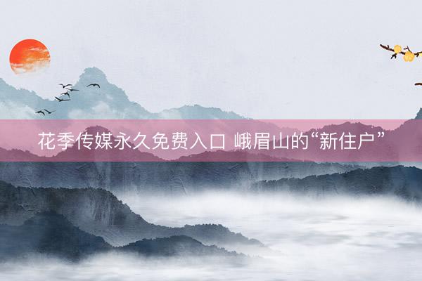 花季传媒永久免费入口 峨眉山的“新住户”