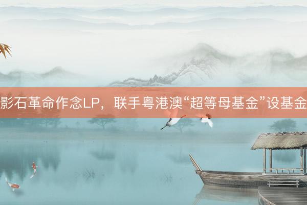 影石革命作念LP，联手粤港澳“超等母基金”设基金
